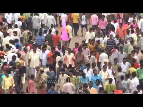 Over a million throng Rath Yatra at Puri