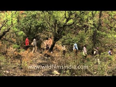 Villagers walking in row towards Algar River for Maund Mela