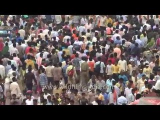 Puri crowded by devotees on the ocassion of Rath Yatra