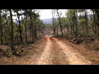 Driving through winding road of Panna, Madhya Pradesh