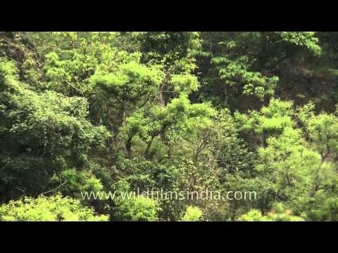 Villagers walk down from hill to river Aglar