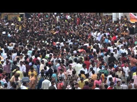 Religious fervour: Large number of devotees turn out at Rath Yatra