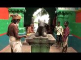 Holy priests performing prayer at Hatakeswara Shiva temple, Odisha
