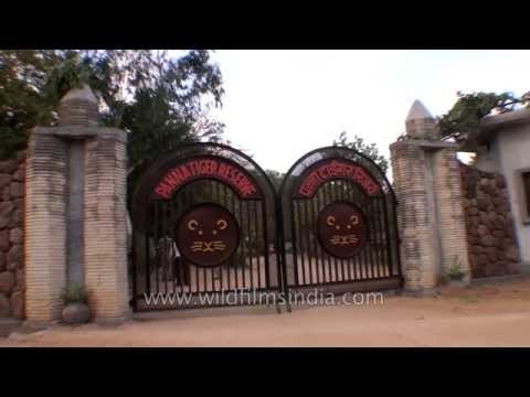 Crossing the Ken River bridge and into the Panna Tiger Reserve