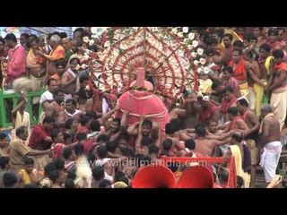 Puri Jagannath Rath Yatra - Journey of faith