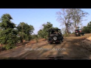 Gypsy ride on the village road of Tala in Bandhavgarh