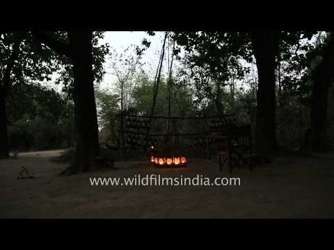Lanterns being lit at King's lodge - Bandhavgarh