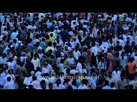 Devotees gather to celebrate the Jagannath Rath Yatra, Puri