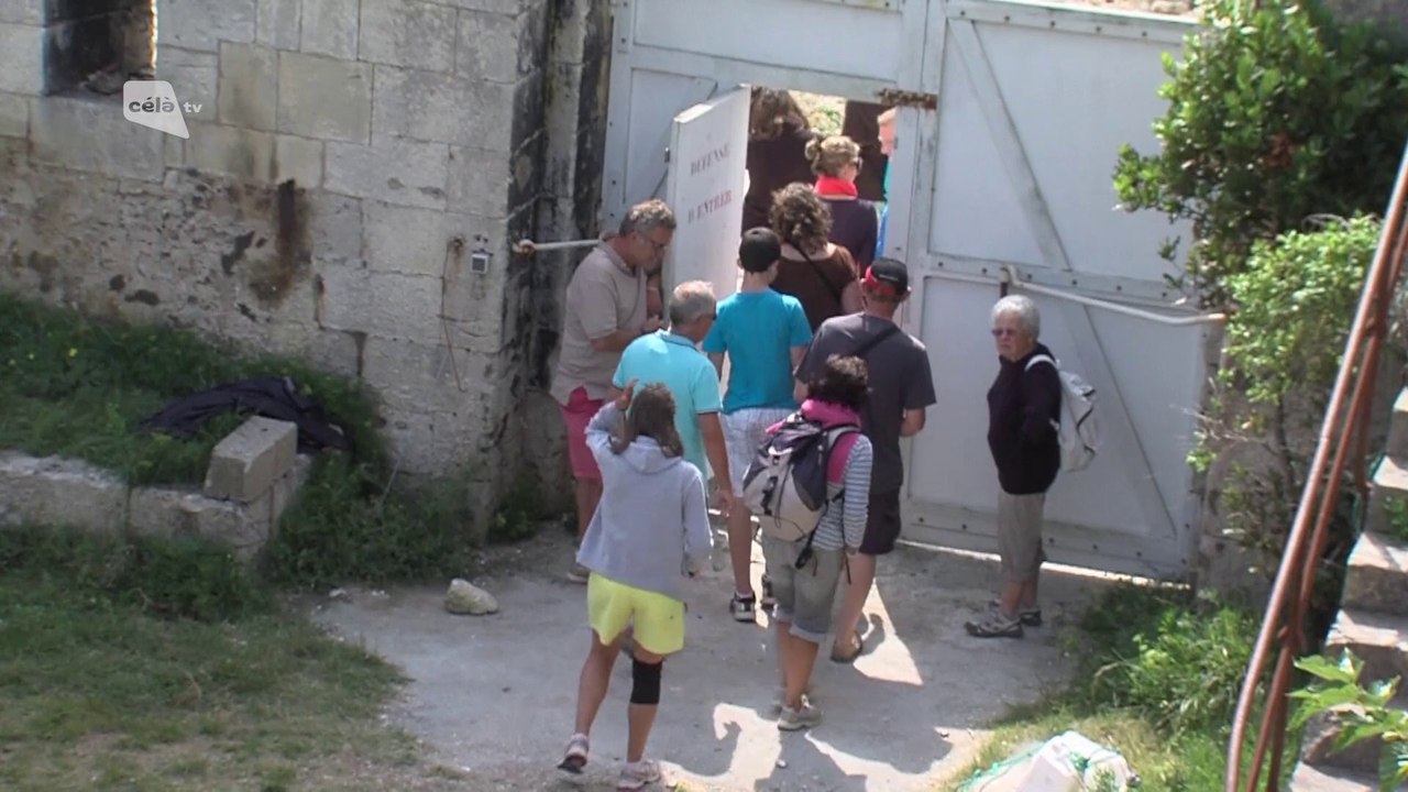 LE JT - Edition du 12/08/14