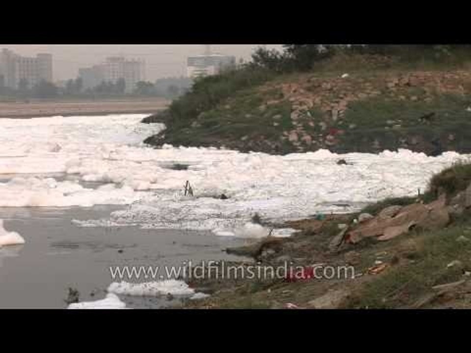Pollution blights the Yamuna river