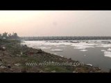 Chemical waste and other pollutants dumped in River Yamuna