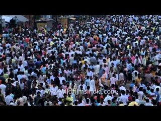 Procession carried out during Jagannath Rath Yatra - Odisha