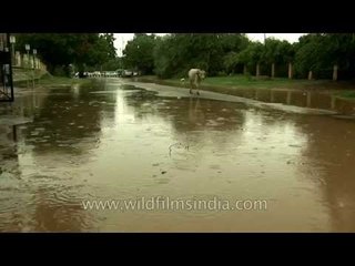 Rain-flooded roads in Delhi