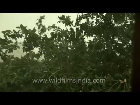 Heavy rain in Delhi city