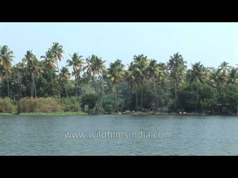 Sailing through backwaters of Kerala