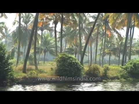 Boat ride on backwaters of Kerala