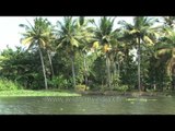 Traditional houseboat on Kerala backwaters