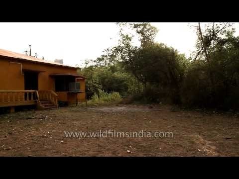 Cottage of Ken River Lodge - Panna, Madhya Pradesh