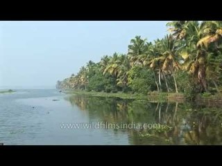 Bewitching and green, backwaters of Kerala