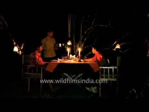 Night bush dinner at Tree House Hideaway - Bandhavgarh National Park