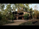 Tree House Hideaway : Accommodation deep in forests of Bandhavgarh