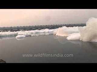 Yamuna: one of the most polluted rivers