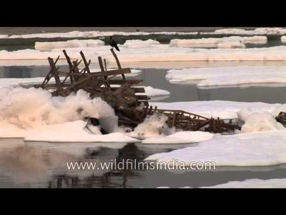 Polluted Yamuna river flowing in Delhi
