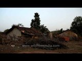 Village area inside the Gangao sanctuary near Panna, MP