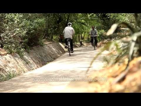 Joggers/ walkers track of Lodhi Garden