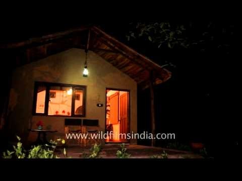Night view of Ken River Lodge - Panna National Park
