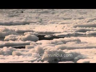 Chemical waste and other pollutants in River Yamuna, Delhi