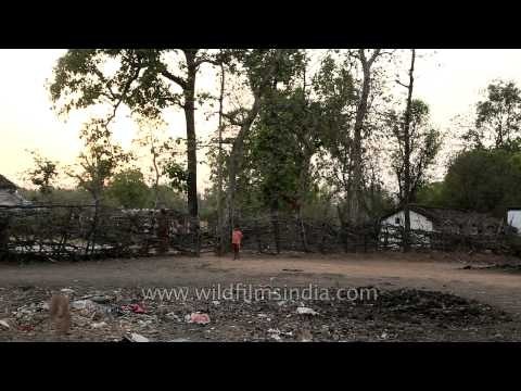 Village inside the Gangao sanctuary near Panna Tiger Reserve