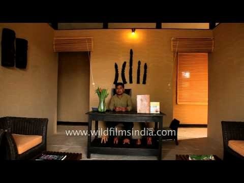 Tattva Spa at Kings Lodge in Bandhavgarh, Madhya Pradesh