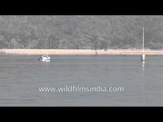 Lake Pichola:  Beautiful lake in the state of Udaipur