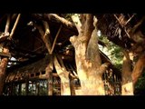 View of dining 'Tree House' at Ken River Lodge