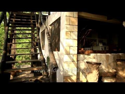 Tree House Restaurant, Ken River Lodge,Panna