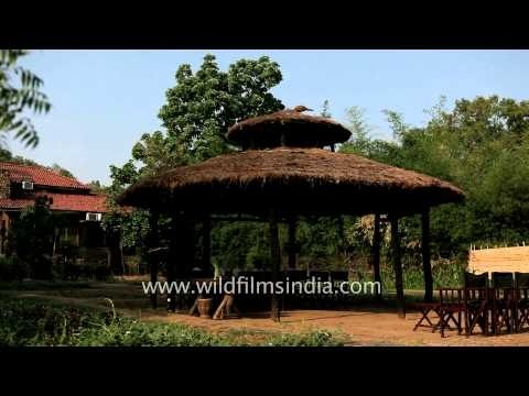 Lawn area: Kings Lodge, Madhya Pradesh