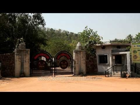 Entry gate of Panna National Park, Madhya Pradesh