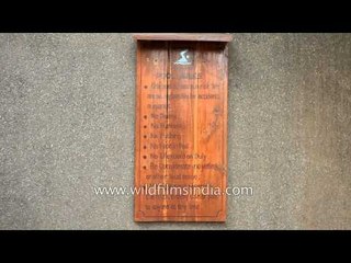 Pool rules at Kings Lodge, Madhya Pradesh
