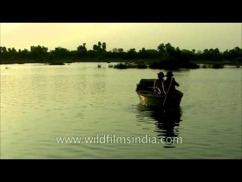 Boat ride in Ken River, Panna - Madhya Pradesh