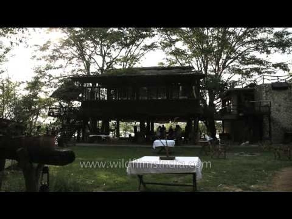 Ken River Lodge's tree house dining hall