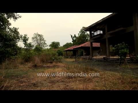 Tattva Spa center at Kings Lodge - Bandhavgarh