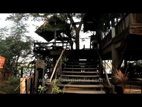 Tree House Dining Hall of Ken River Lodge