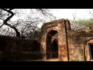 Heritage walk to monument Bhuli Bhatiyari ka Mahal