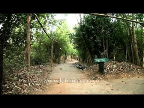 On the way to Ken River Lodge