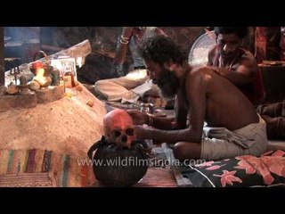 Aghori nurses his skull, and nourishes it with booze!