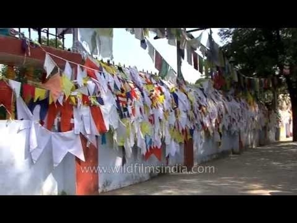 Colourful Tibetan flags tied at Dhamma Chakka Pavattana Sutta