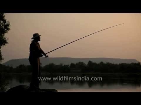 Man fishing at Ken River - Panna National Park