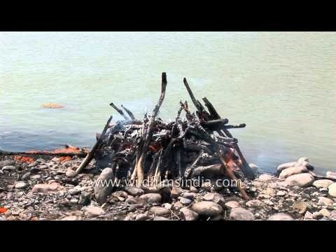 Cremation of a Hindu corpse - Haridwar