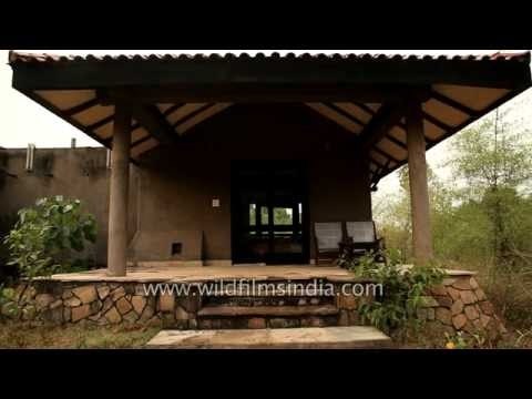 Outside the Kings Lodge in Bandhavgarh